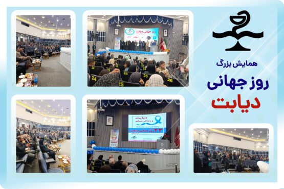 همایش روز جهانی دیابت توسط بنیاد در مشهد برگزار شد